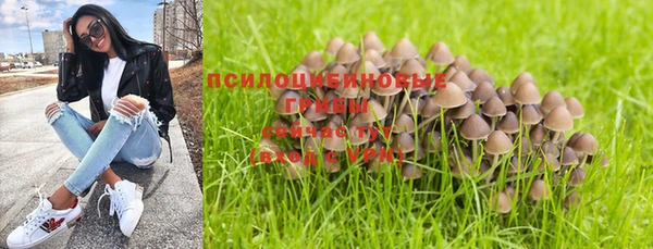 гидра Домодедово