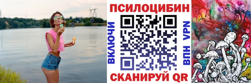Галлюциногенные грибы мицелий  где можно купить наркотик  Новороссийск 