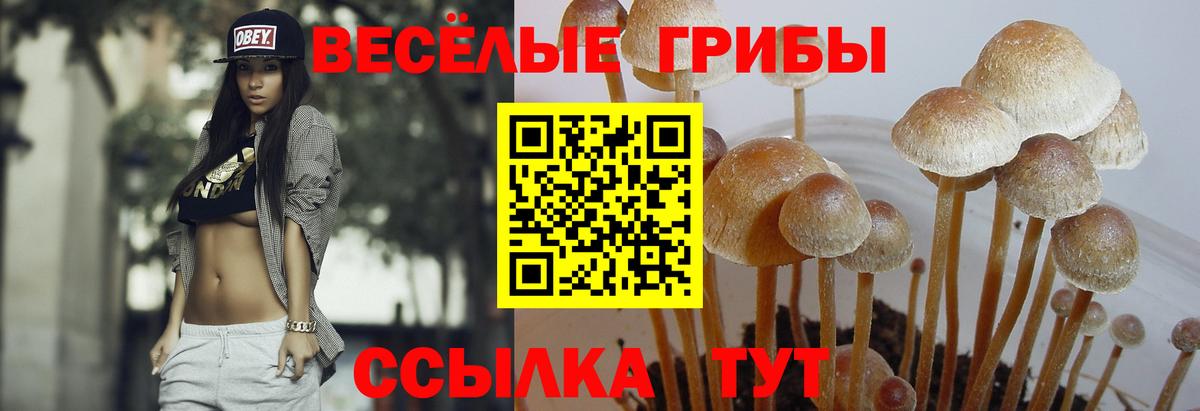 Псилоцибиновые грибы Magic Shrooms  Вход с VPN  Новороссийск 